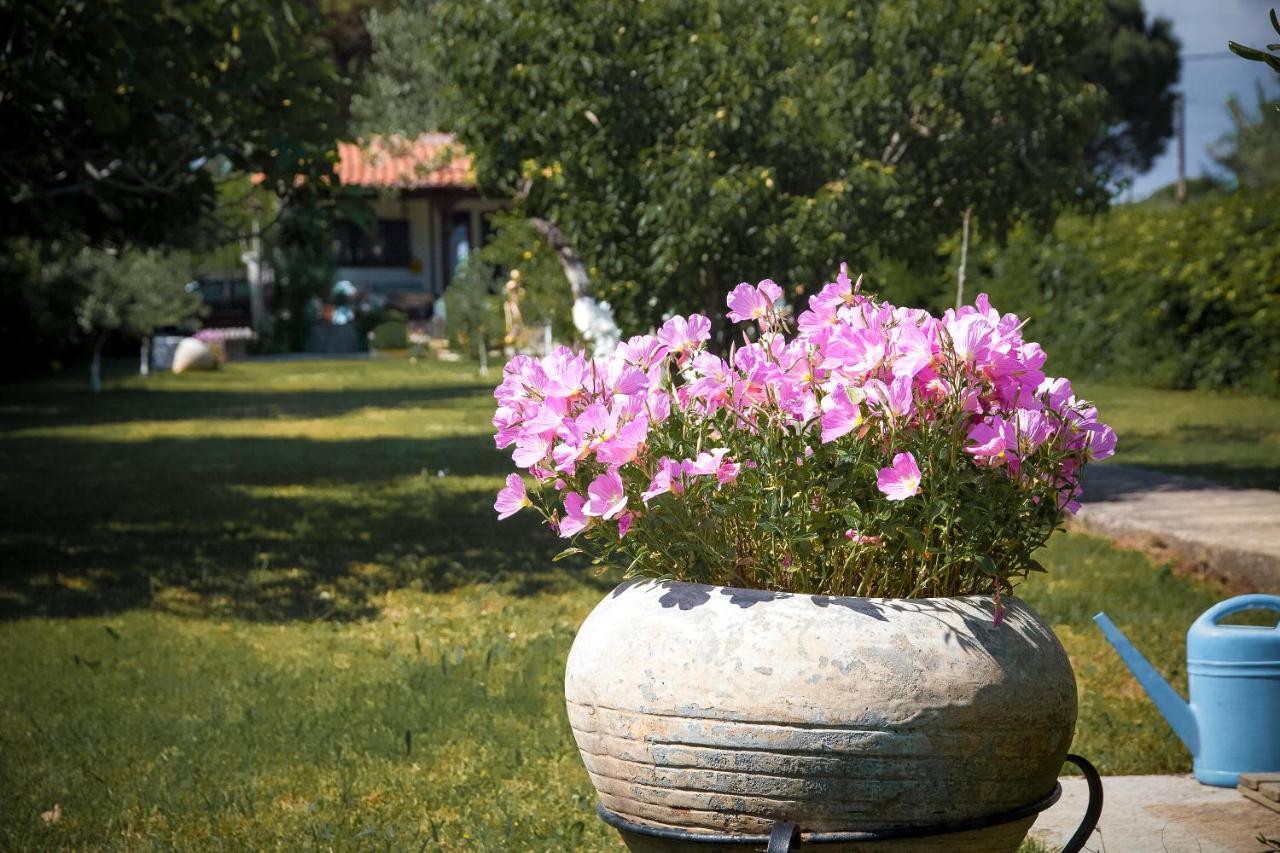 Villa Estate Irene Alexandroupoli Exterior foto